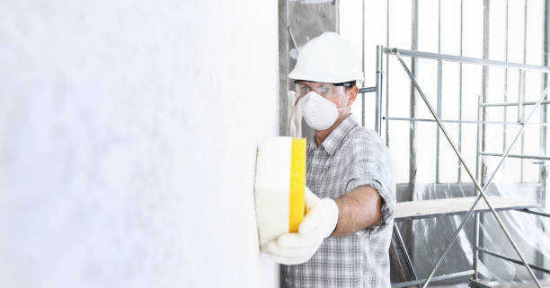 Why You Should Choose Our Mold Remediation Services in Mont Alto, PA